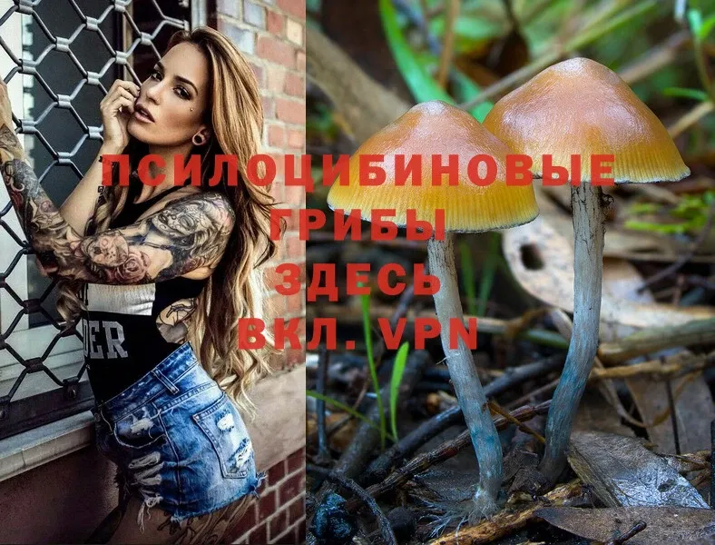 Галлюциногенные грибы Magic Shrooms  Баймак 